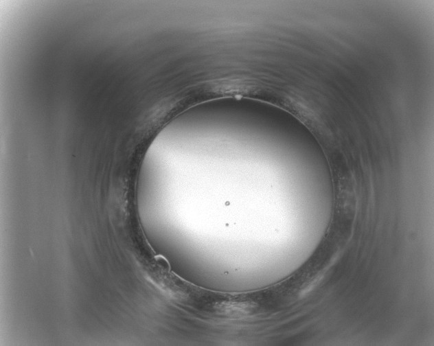 X0000062150255200512161242