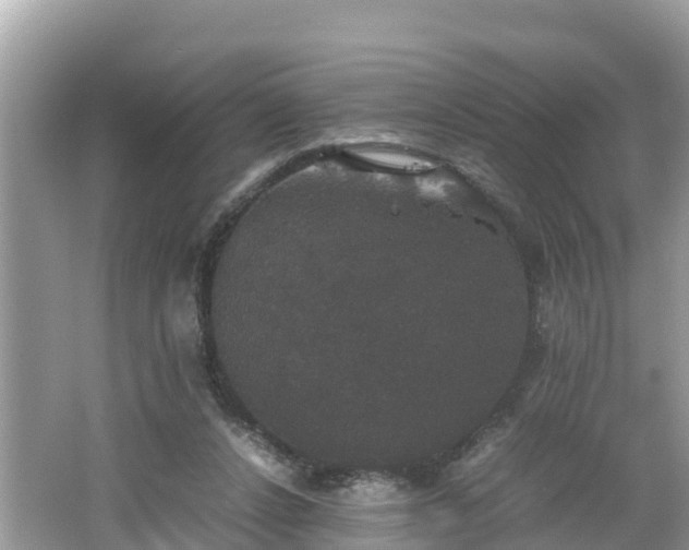 X0000062150256200512161242