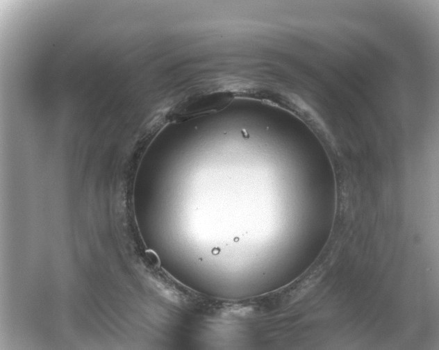 X0000062150257200512161242