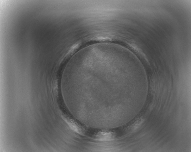 X0000062150260200512161242