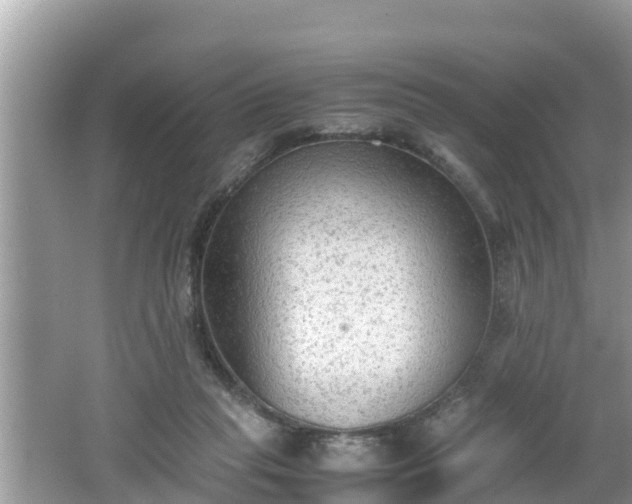 X0000062150261200512161242