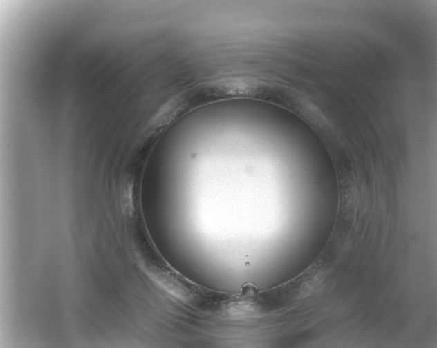 X0000062150262200512161242