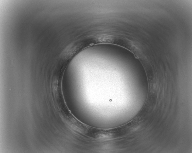 X0000062150263200512161242