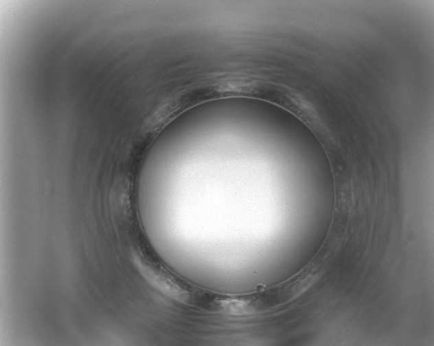 X0000062150265200512161242