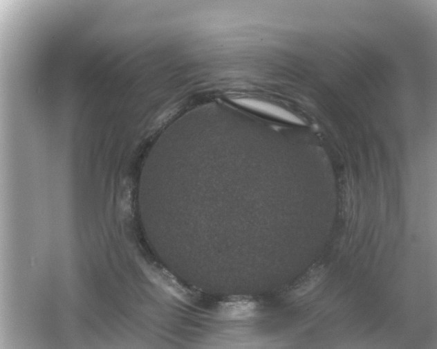 X0000062150266200512161242