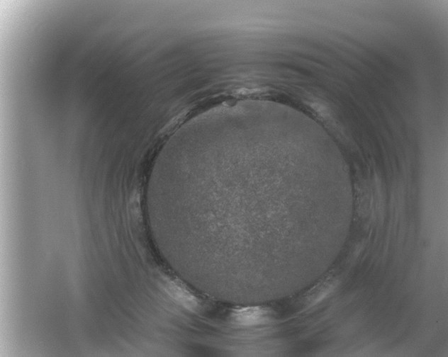 X0000062150269200512161242