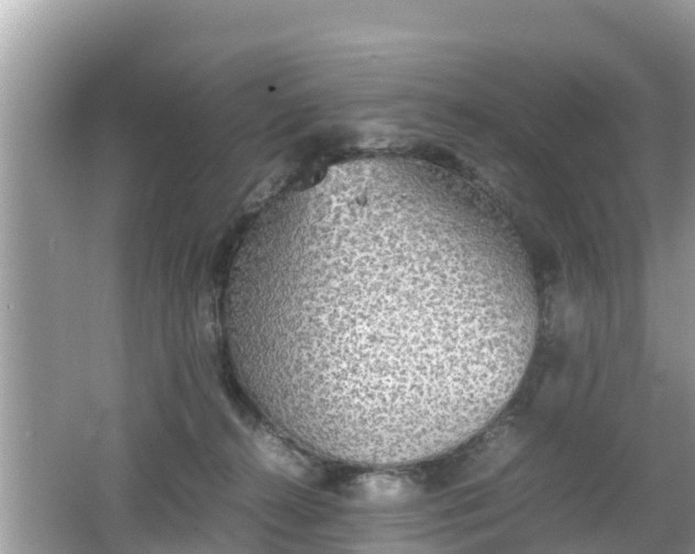 X0000062150272200512161242