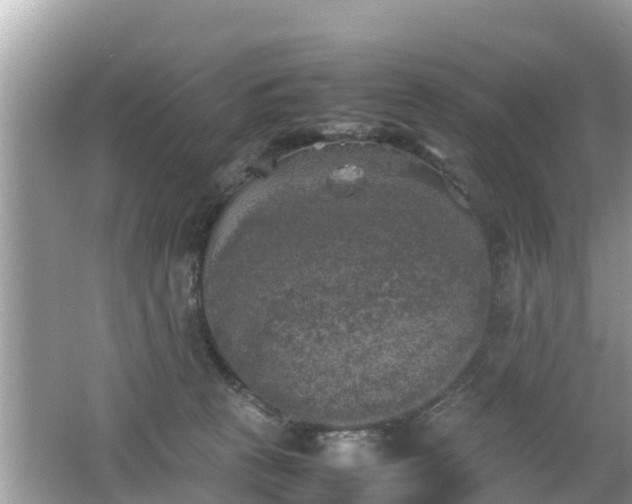 X0000062150273200512161242