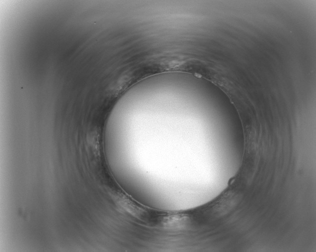 X0000062150274200512161242