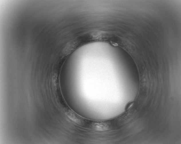 X0000062150275200512161242