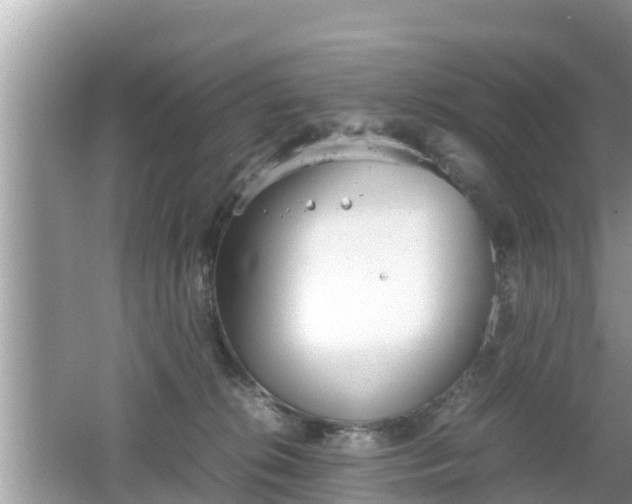 X0000062150276200512161242