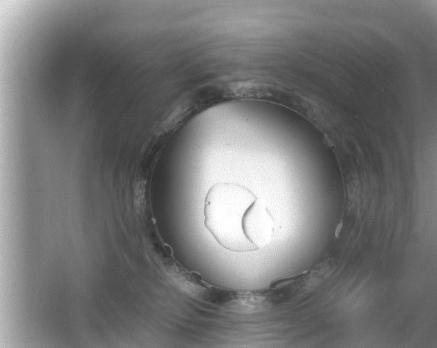 X0000062150278200512161242