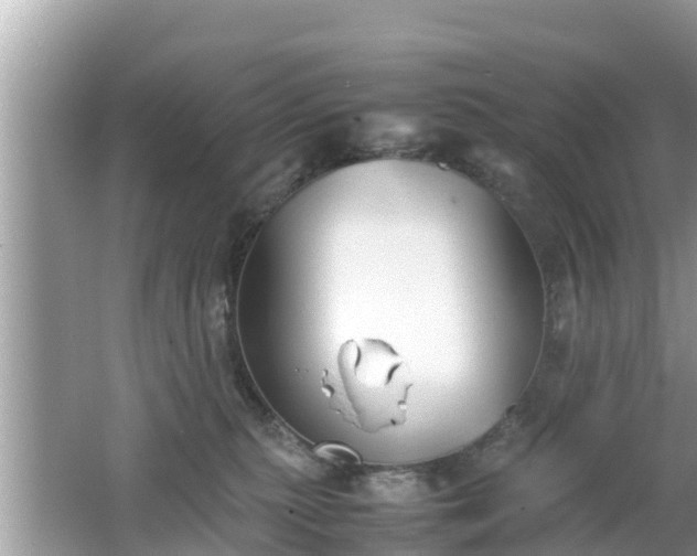 X0000062150279200512161242