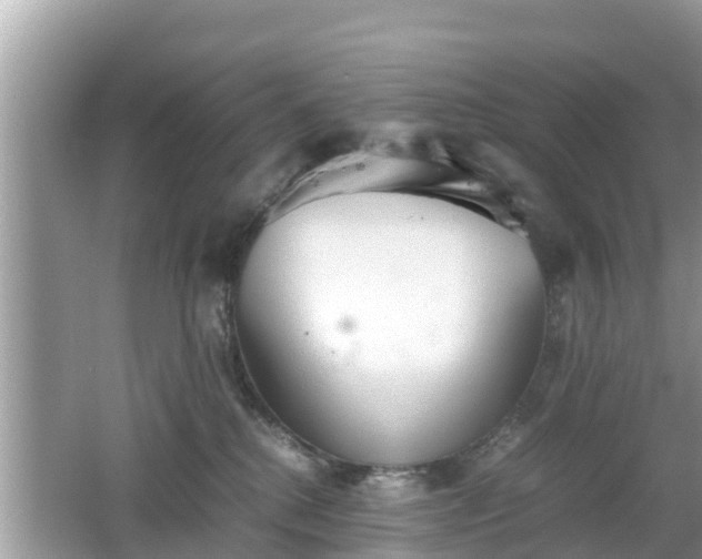 X0000062150280200512161242