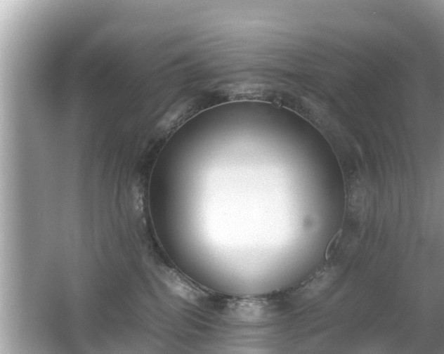 X0000062150282200512161242