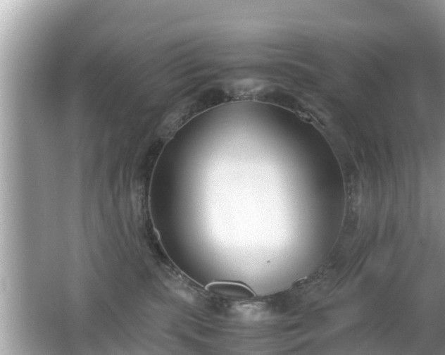 X0000062150283200512161242