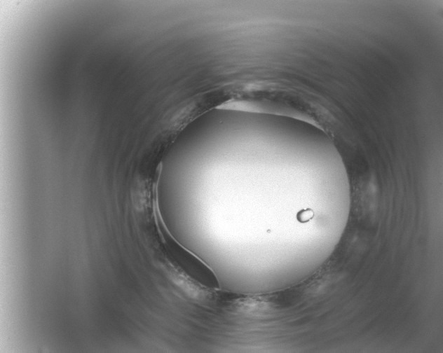 X0000062150284200512161242