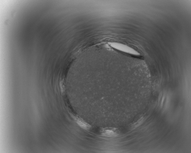 X0000062150285200512161242