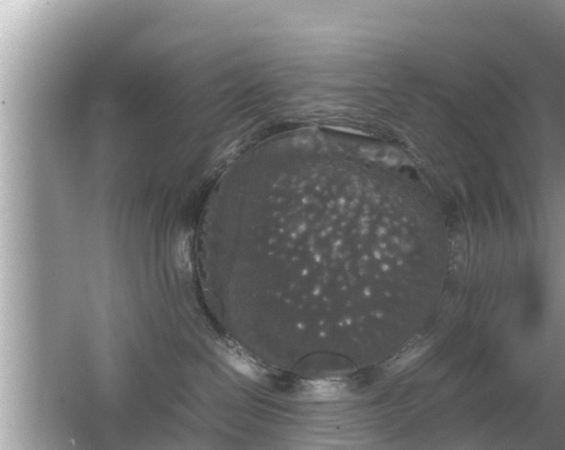 X0000062150286200512161242