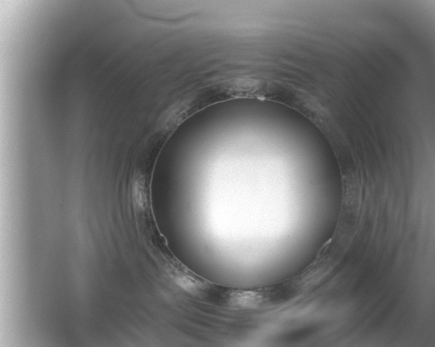 X0000062150287200512161242