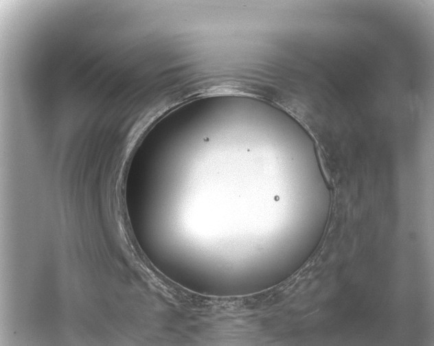 X0000062150289200512161242