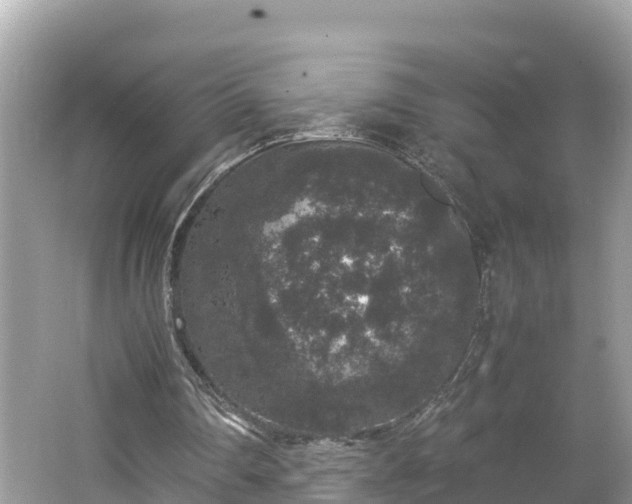 X0000062150290200512161242