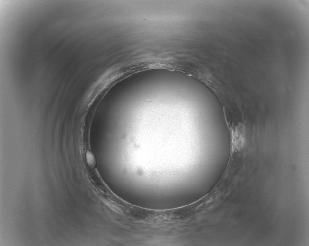 X0000062150291200512161242