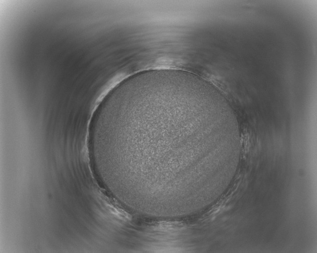 X0000062150292200512161242