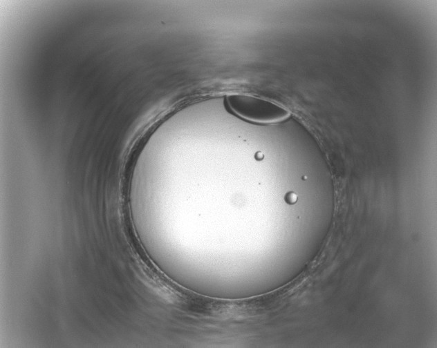 X0000062150293200512161242