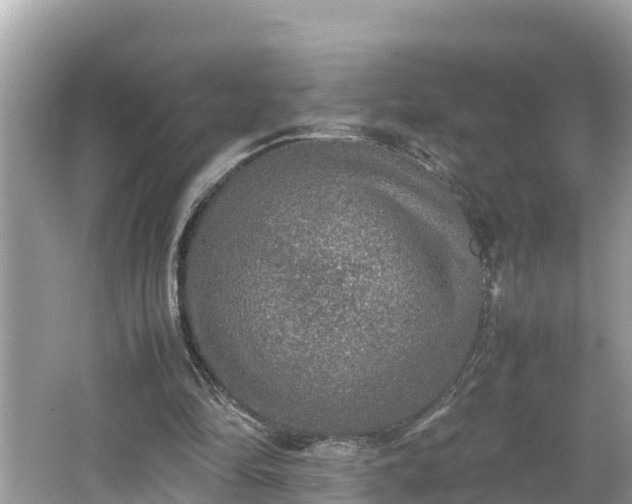 X0000062150294200512161242