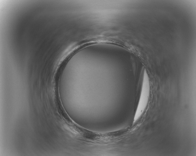 X0000062150295200512161242