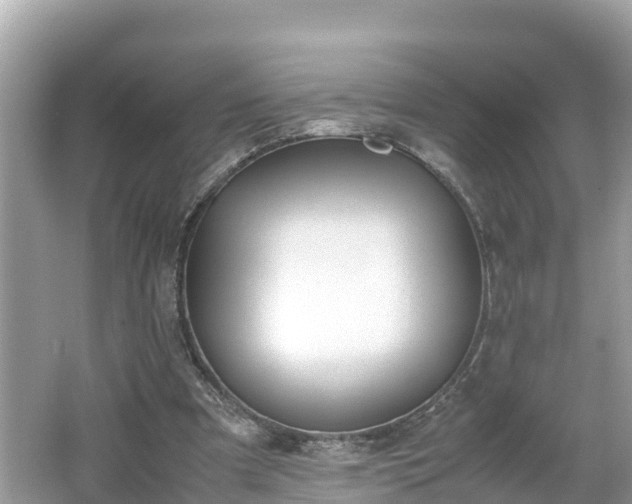 X0000062150297200512161242