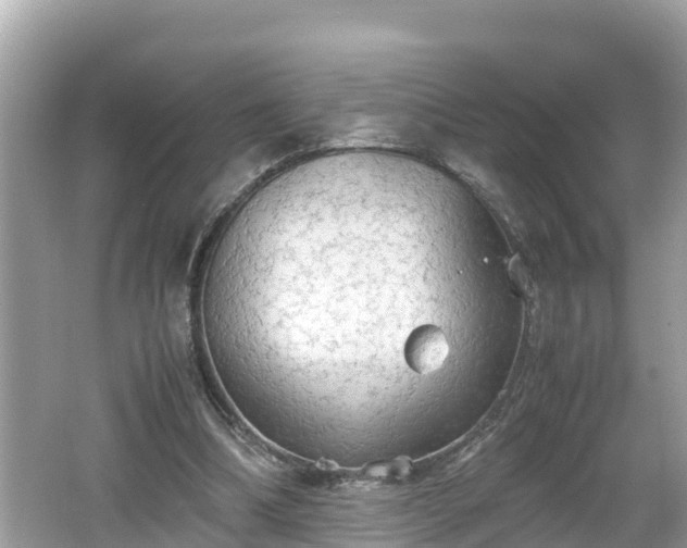 X0000062150298200512161242