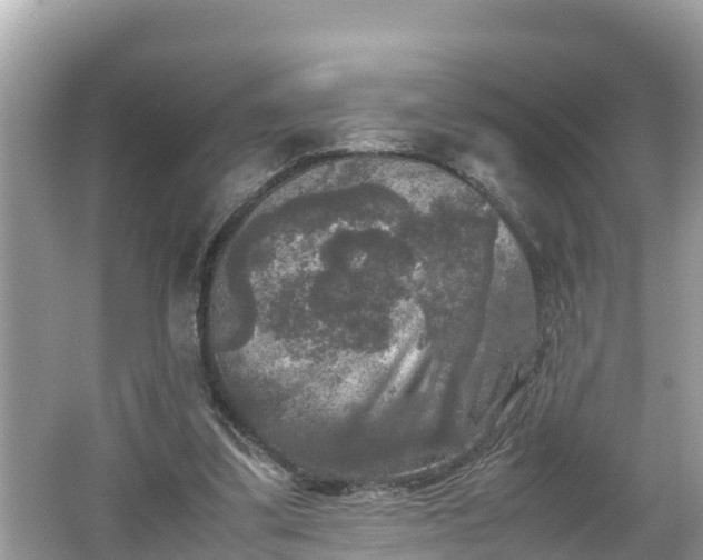 X0000062150299200512161241