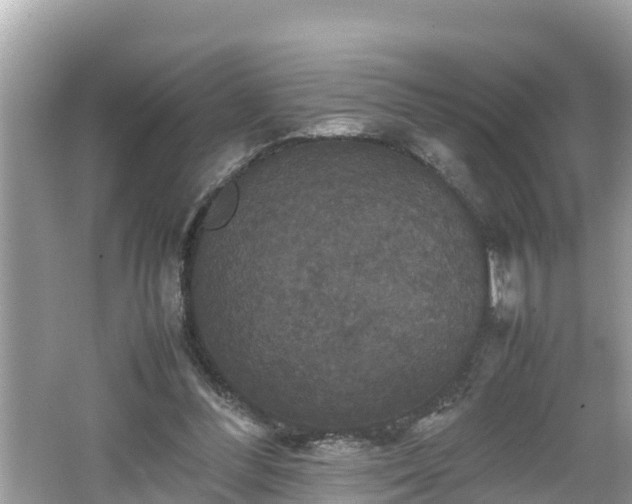 X0000062150300200512161241