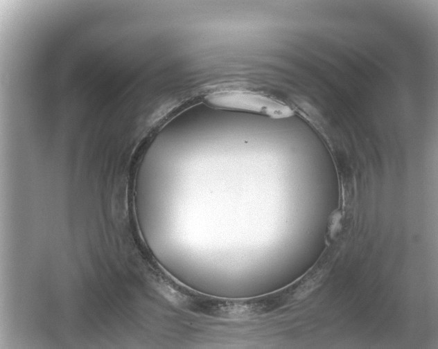 X0000062150301200512161241