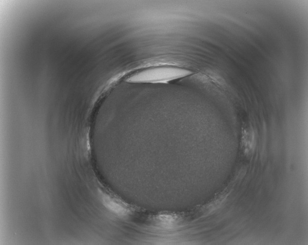 X0000062150302200512161241