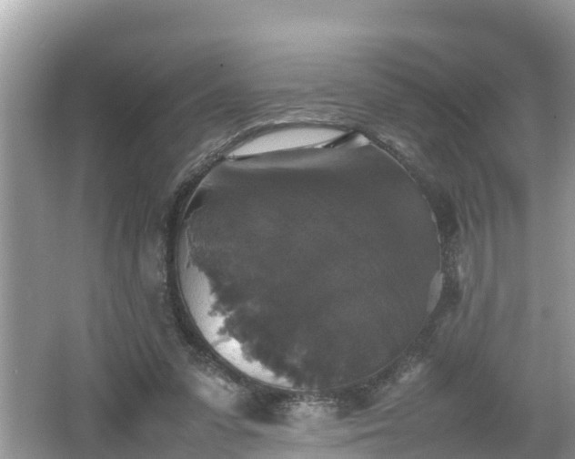 X0000062150303200512161241