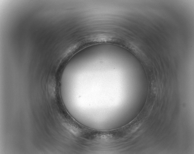 X0000062150304200512161241