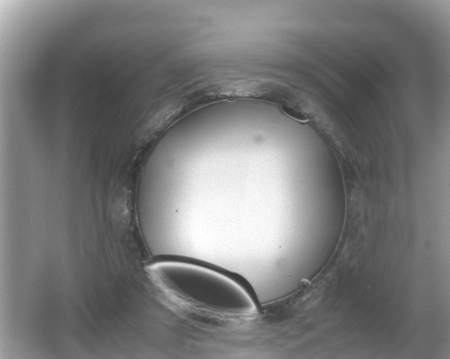 X0000062150305200512161241