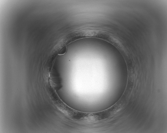 X0000062150307200512161241