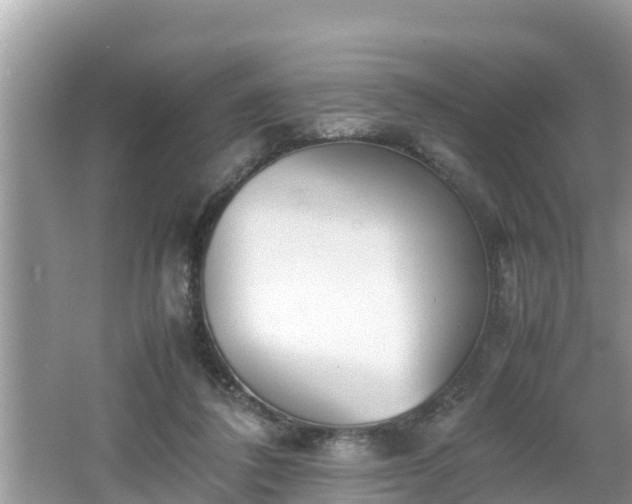 X0000062150308200512161241