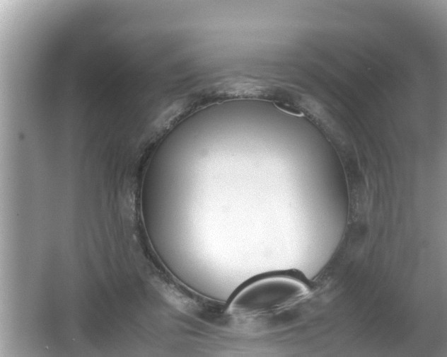 X0000062150309200512161241