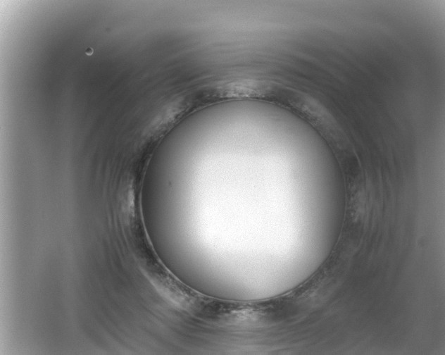 X0000062150310200512161241