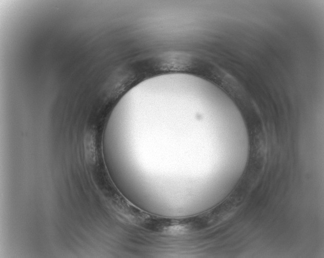 X0000062150312200512161241