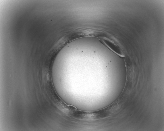 X0000062150313200512161241