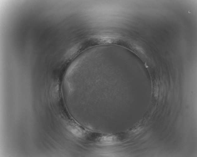 X0000062150314200512161241