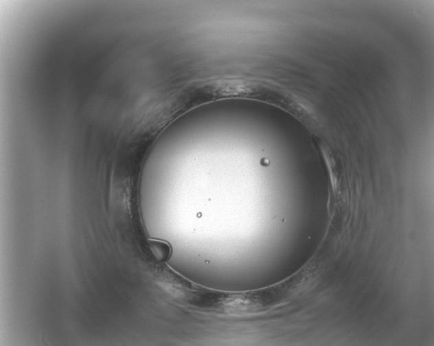 X0000062150315200512161241