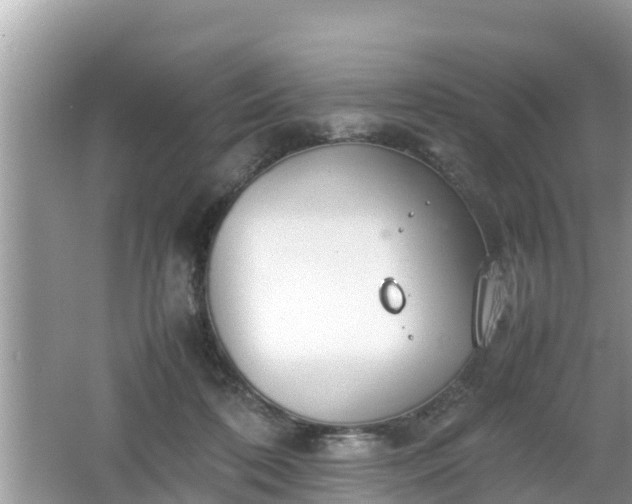 X0000062150316200512161241