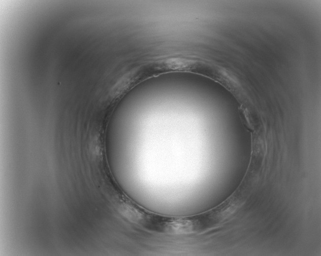 X0000062150317200512161241